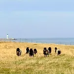 Апартаменты Boje No 8 Ольпениц